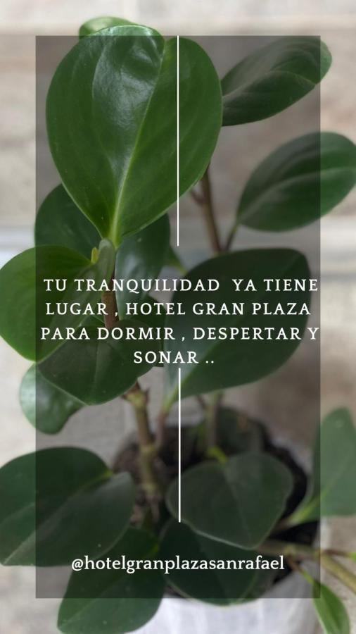 Hotel Gran Plaza San Rafael San Rafael  Ngoại thất bức ảnh